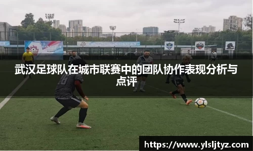 武汉足球队在城市联赛中的团队协作表现分析与点评